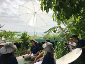 In this picture is a diffusion umbrella used for adjusting light when making photographs.